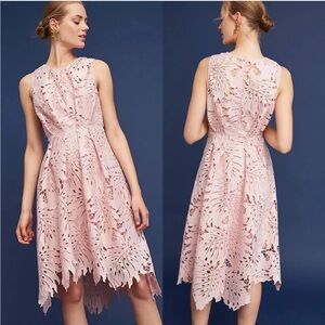 🆕 EVA FRANCO Palm & Lace Cutout Dress